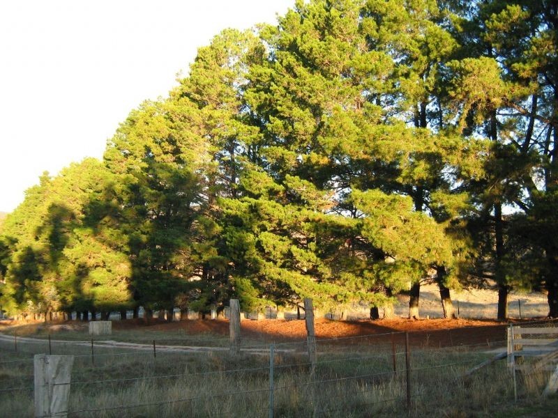 1849 O’Connell Road, Bathurst NSW 2795