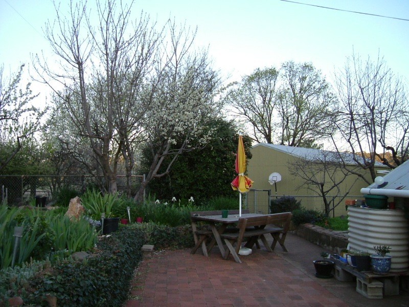 Wattle Flat NSW 2795