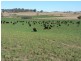 Bathurst NSW 2795
