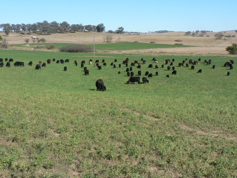 Bathurst NSW 2795
