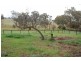 Bathurst NSW 2795