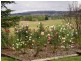 384 Eleven Mile Drive, Bathurst NSW 2795