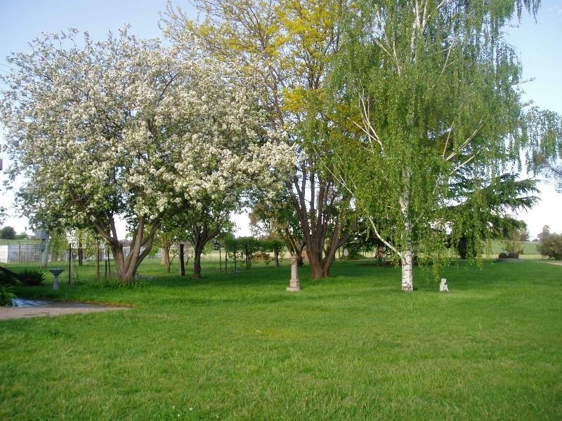 384 Eleven Mile Drive, Bathurst NSW 2795