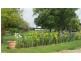 384 Eleven Mile Drive, Bathurst NSW 2795
