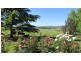 384 Eleven Mile Drive, Bathurst NSW 2795