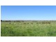 384 Eleven Mile Drive, Bathurst NSW 2795