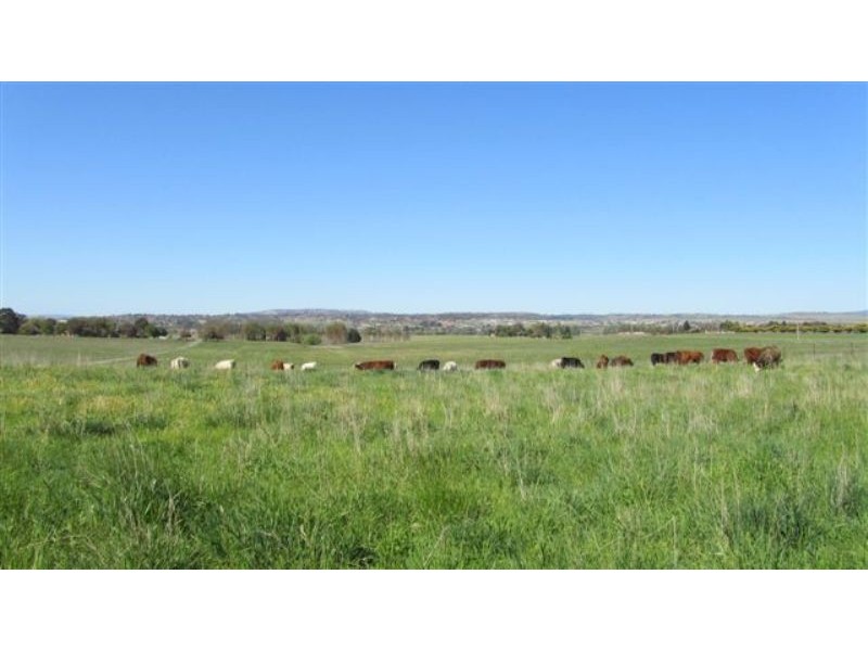 384 Eleven Mile Drive, Bathurst NSW 2795