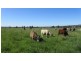 384 Eleven Mile Drive, Bathurst NSW 2795