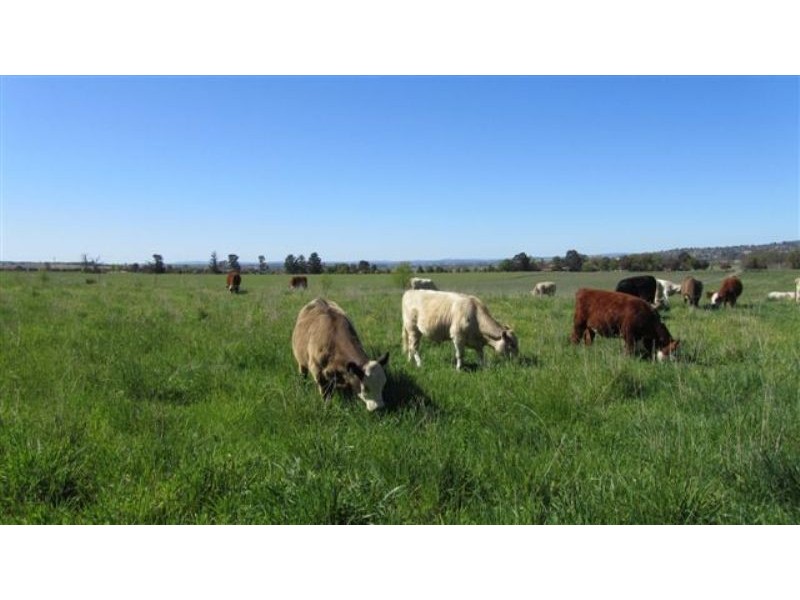 384 Eleven Mile Drive, Bathurst NSW 2795