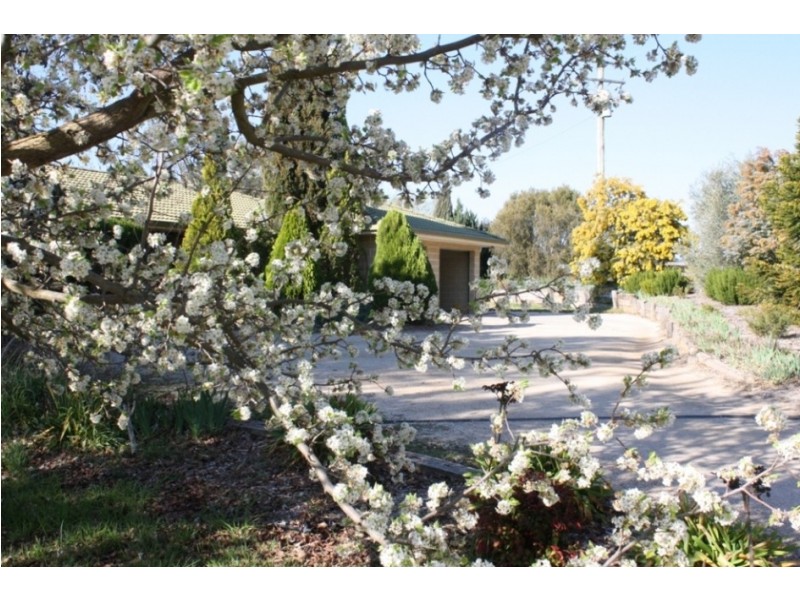 2 Rayburn Drive, Bathurst NSW 2795