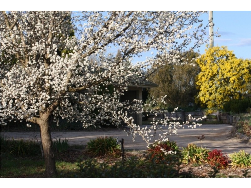 2 Rayburn Drive, Bathurst NSW 2795