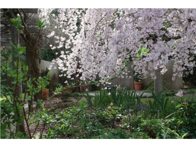 2 Rayburn Drive, Bathurst NSW 2795