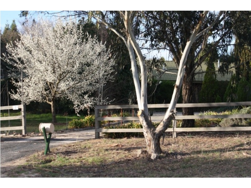 2 Rayburn Drive, Bathurst NSW 2795