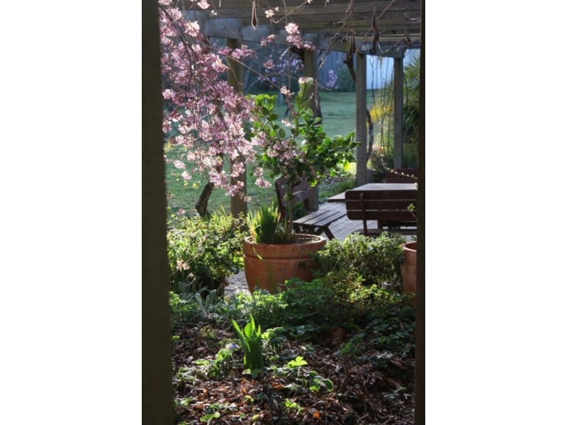 2 Rayburn Drive, Bathurst NSW 2795