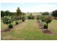 256 Glanmire Lane, Bathurst NSW 2795