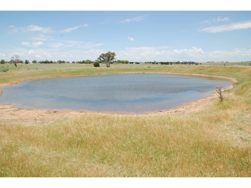 256 Glanmire Lane, Bathurst NSW 2795