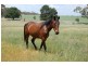256a Glanmire Lane, Bathurst NSW 2795