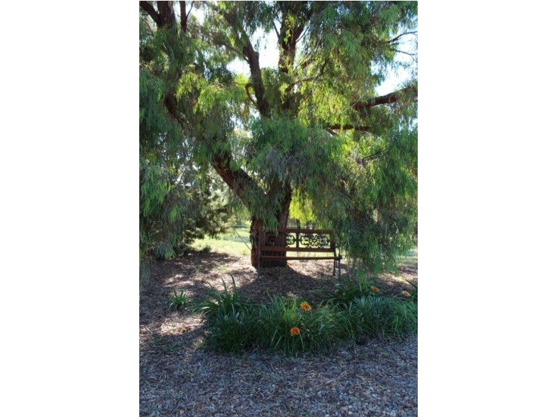 19 Lagoon Street, Perthville NSW 2795