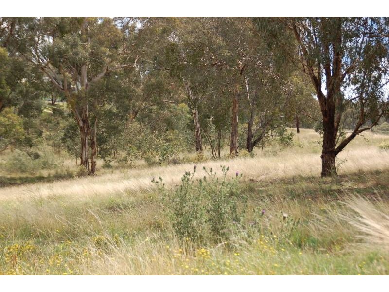 Bathurst NSW 2795