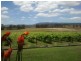 101 Burkes Lane, Bathurst NSW 2795