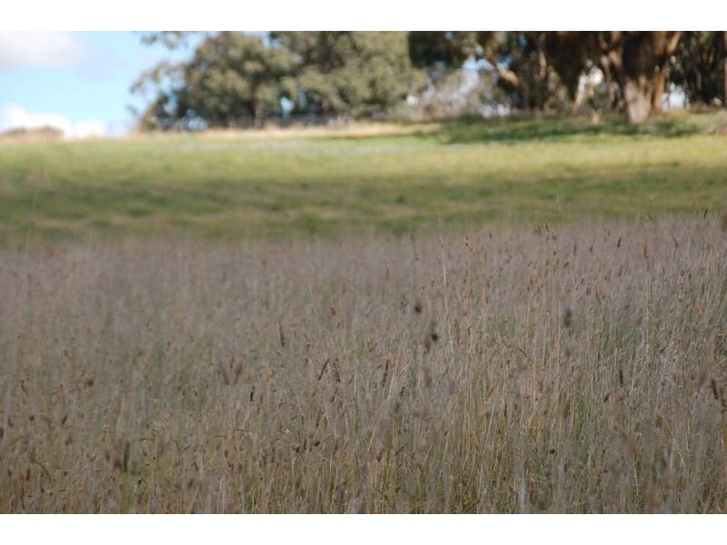 Lot 1, 158 Walkom Road, Bathurst NSW 2795