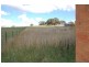 Lot 1, 158 Walkom Road, Bathurst NSW 2795