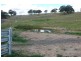Lot 3a 158 Walkom Road, Bathurst NSW 2795