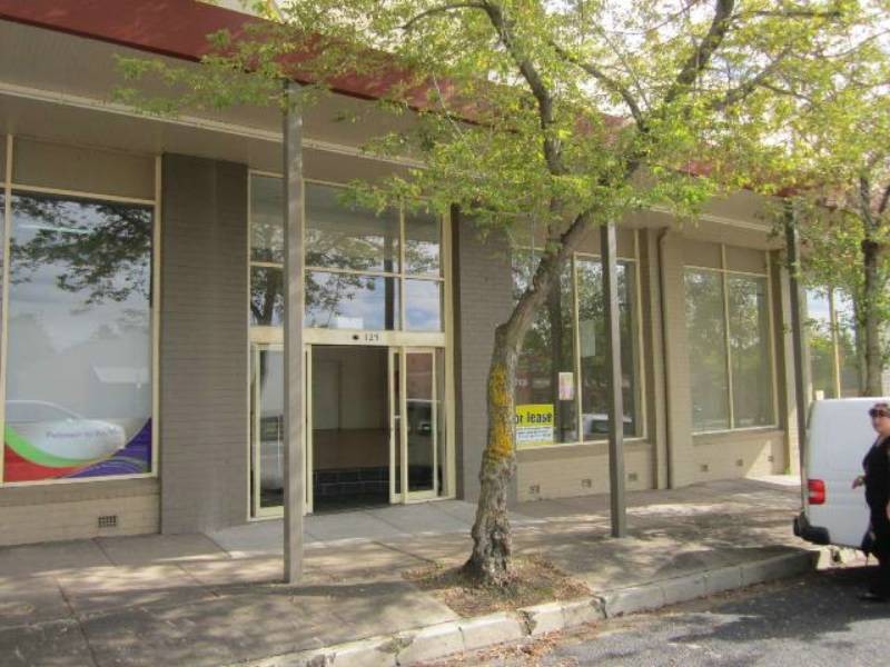 125 Bentinck, Bathurst NSW 2795