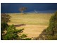 O’connell NSW 2795