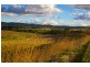O’connell NSW 2795