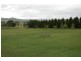 390 Laffing Waters Lane, Bathurst NSW 2795
