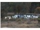 1782 Limekilns Road, Bathurst NSW 2795