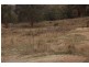 1782 Limekilns Road, Bathurst NSW 2795