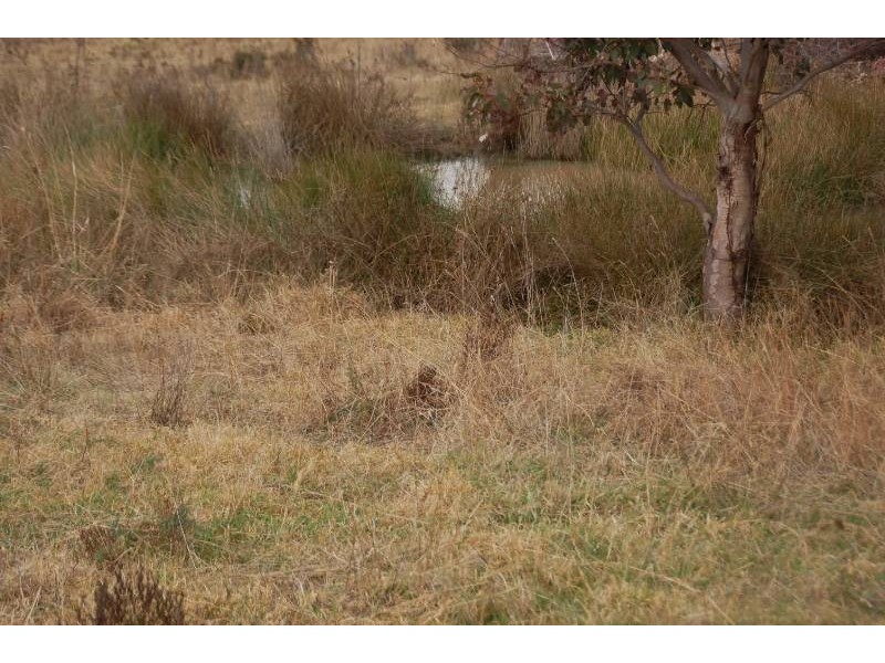 1782 Limekilns Road, Bathurst NSW 2795