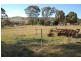 Rockley NSW 2795