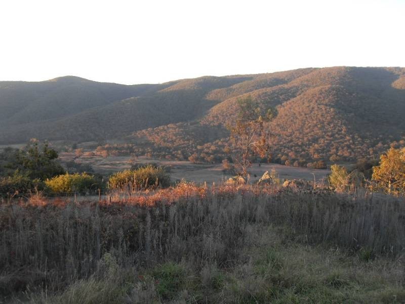 160 Longridge Road, Billywillinga NSW 2795