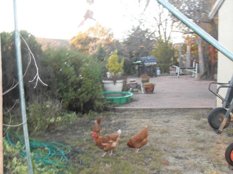 160 Longridge Road, Billywillinga NSW 2795