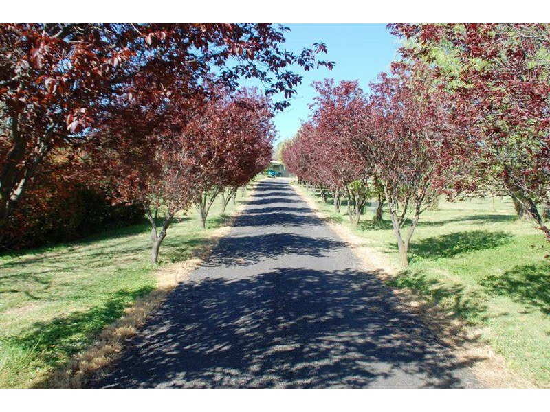 1 Wallaroi Close, Bathurst NSW 2795