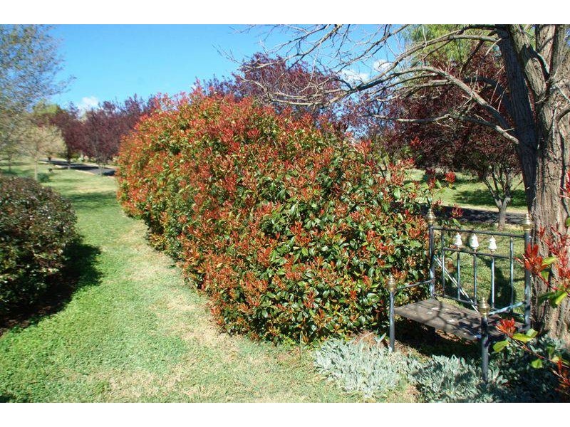 1 Wallaroi Close, Bathurst NSW 2795