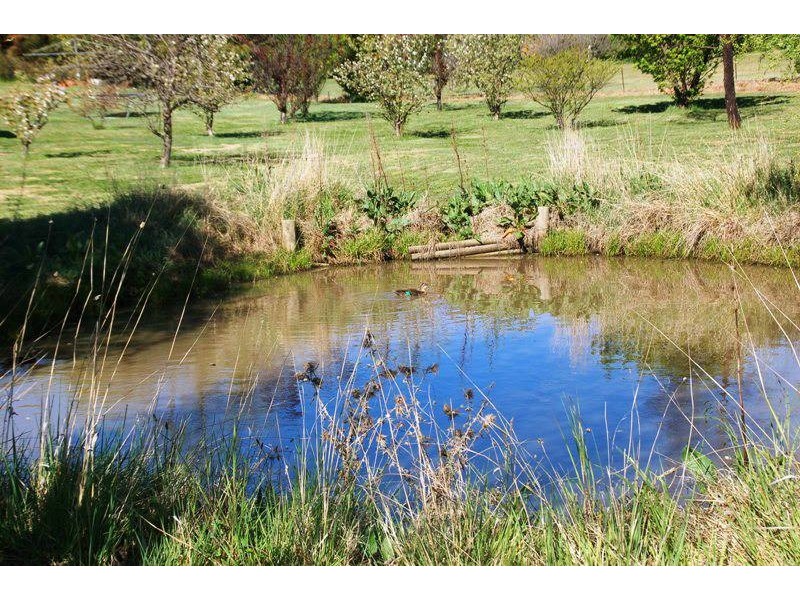 1 Wallaroi Close, Bathurst NSW 2795