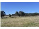 579 Mitchell HIghway, Bathurst NSW 2795
