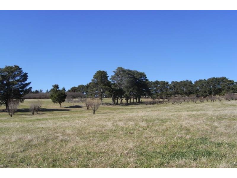 579 Mitchell HIghway, Bathurst NSW 2795