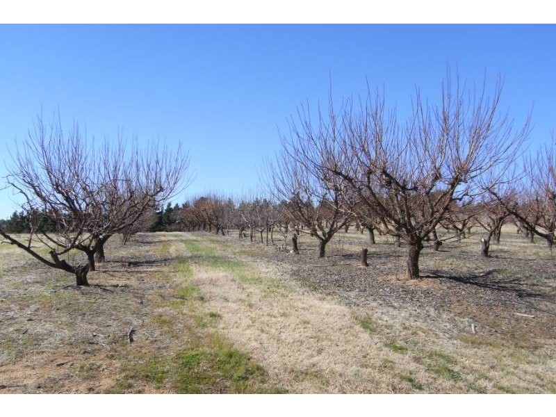 579 Mitchell HIghway, Bathurst NSW 2795