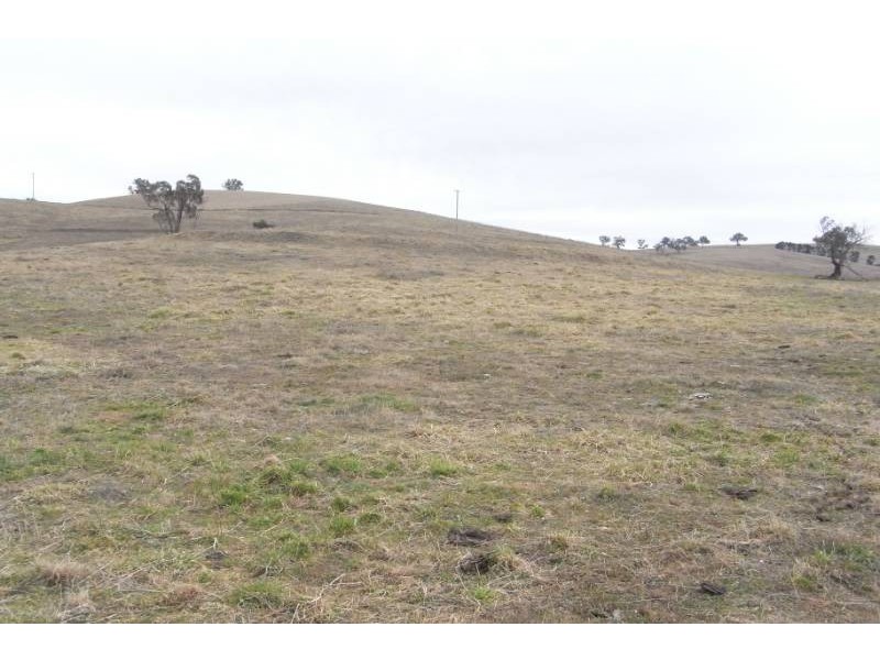 176 St Johns Road, Bathurst NSW 2795
