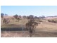 176 St Johns Road, Bathurst NSW 2795