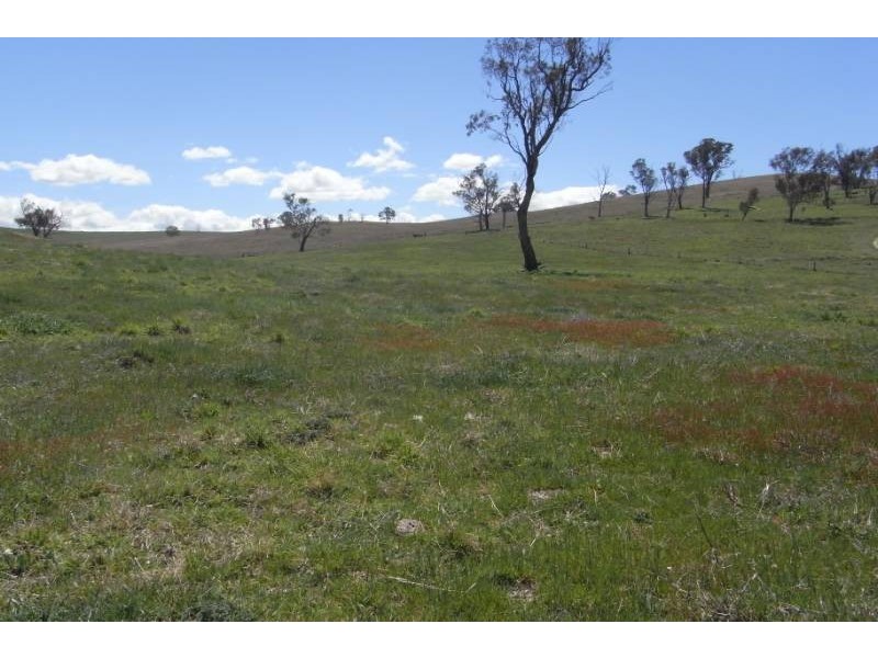 176 St Johns Road, Bathurst NSW 2795