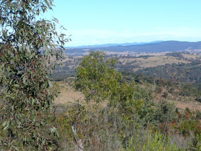 386 Gowan Road, Bathurst NSW 2795