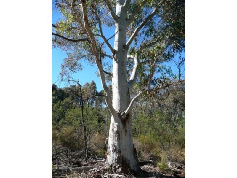 386 Gowan Road, Bathurst NSW 2795