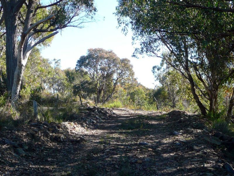 386 Gowan Road, Bathurst NSW 2795