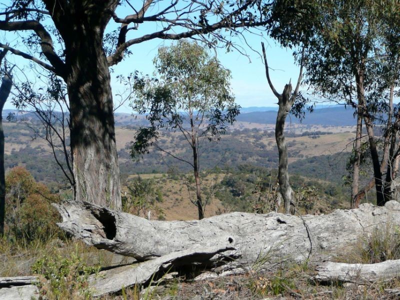 386 Gowan Road, Bathurst NSW 2795